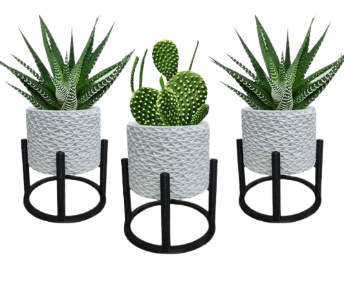 Imagem da oferta 3 Vasos Cachepot Suculenta Erva Flor Decoração Casa Suspenso
