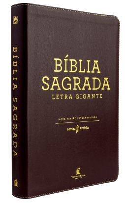 Bíblia NVI, Couro Soft, Marrom, Letra Gigante, Leitura Perfeita - Encadernação de couro