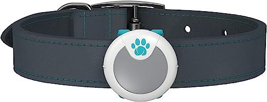 Monitor de Comportamento para Cachorros - Sure PetCare