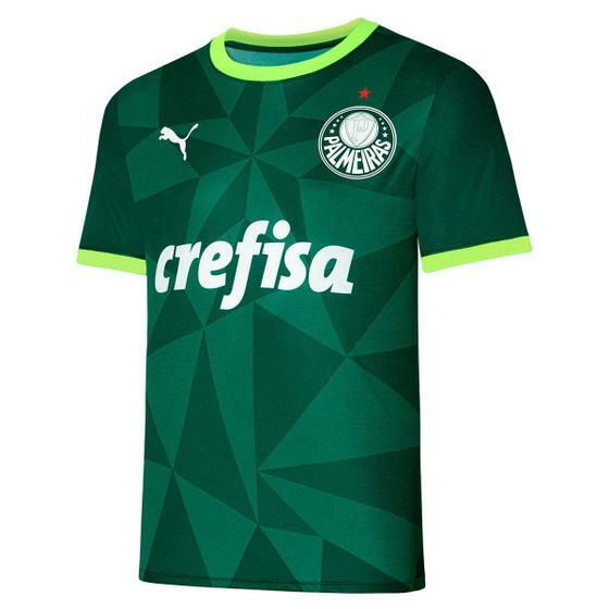 Camisa Palmeiras I 23/24 s/n EstAdio Puma Masculina